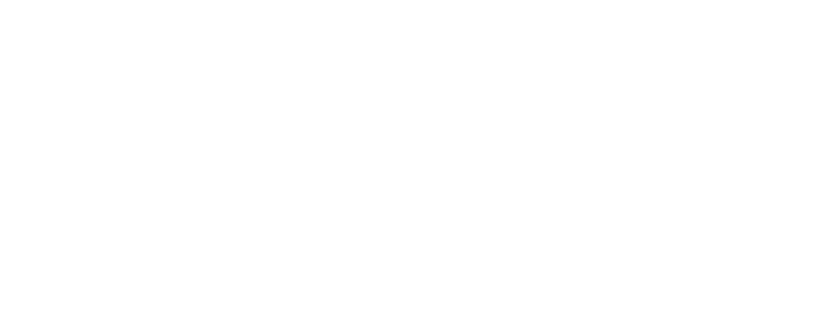 NAV_logo_RGB_white